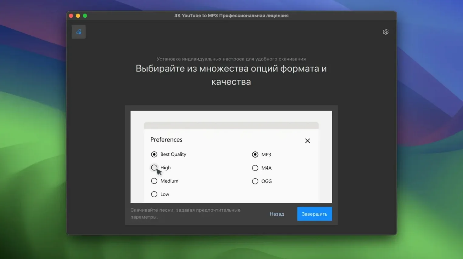 4K YouTube to MP3 toolbar view 2