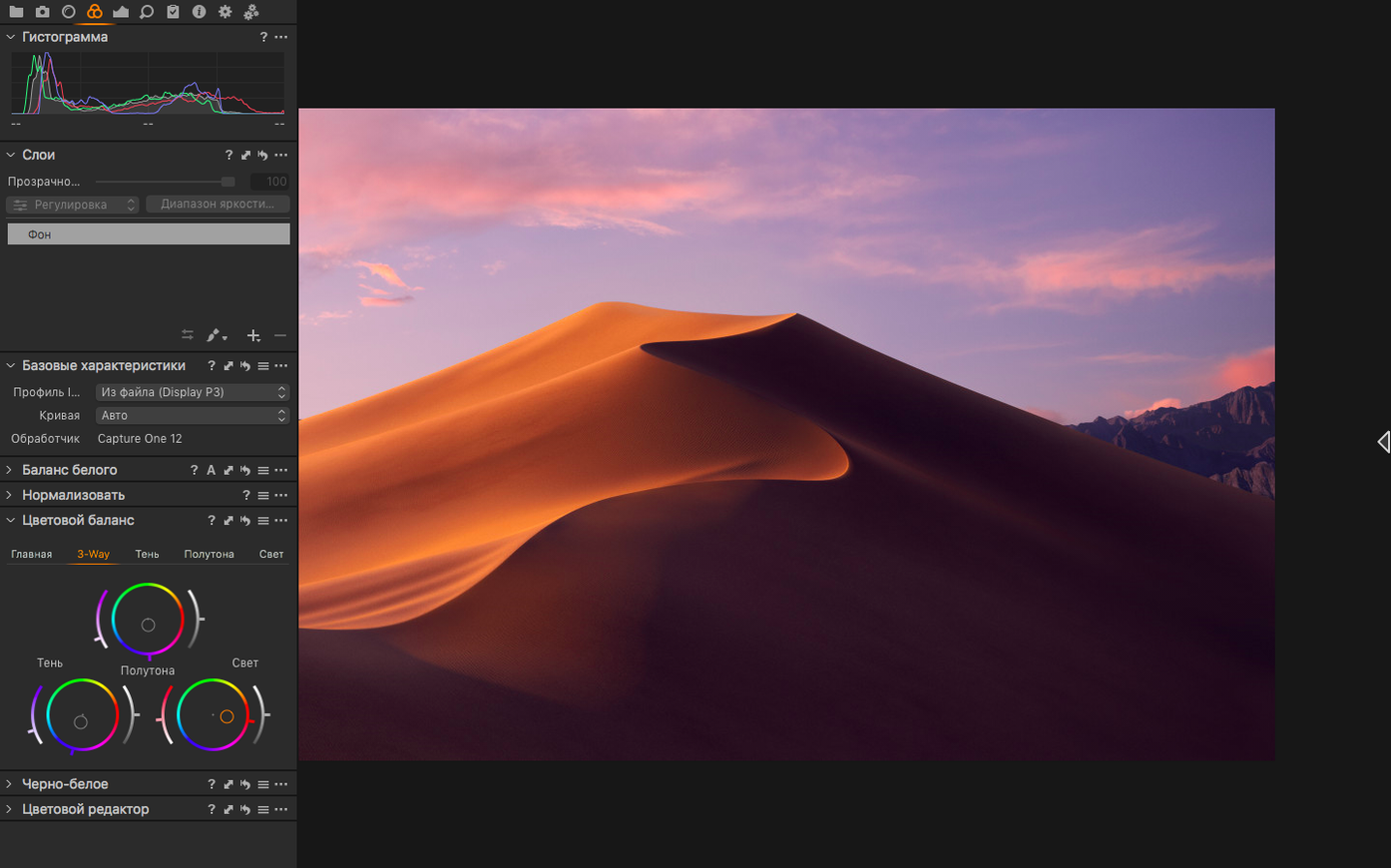 Capture One — tour 2 Capture One toolbar view 2
