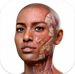 Complete Anatomy 11.5 logo
