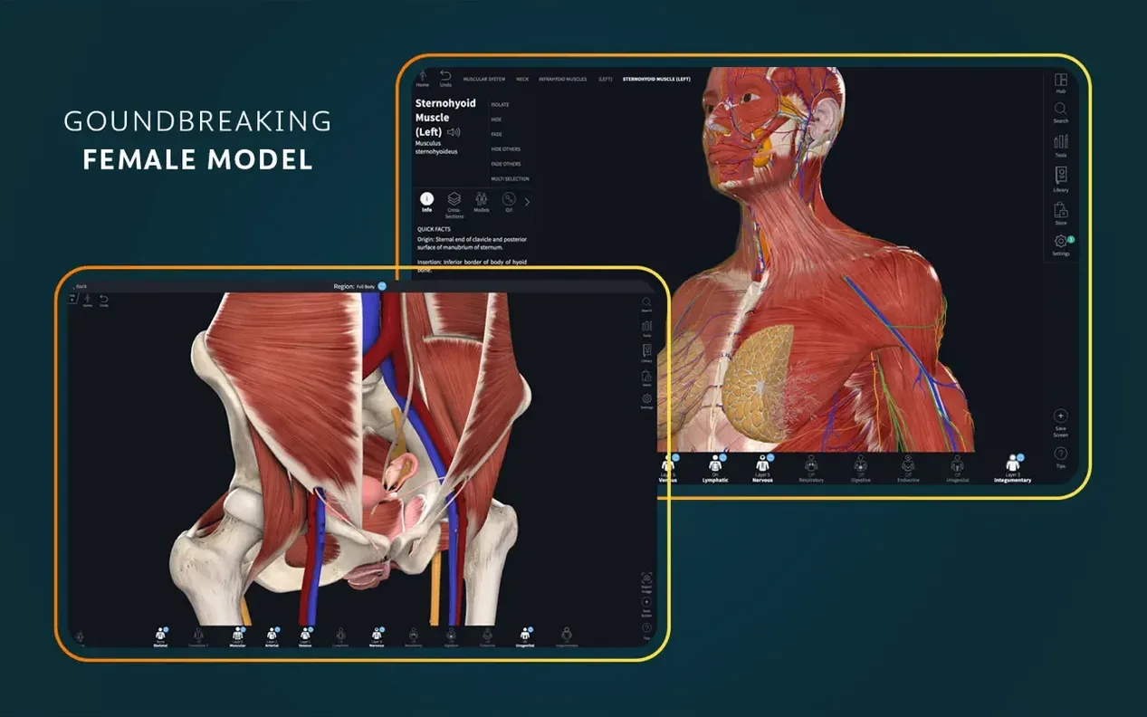 Complete Anatomy — tour 1 3d atlas of anatomy: workspace view