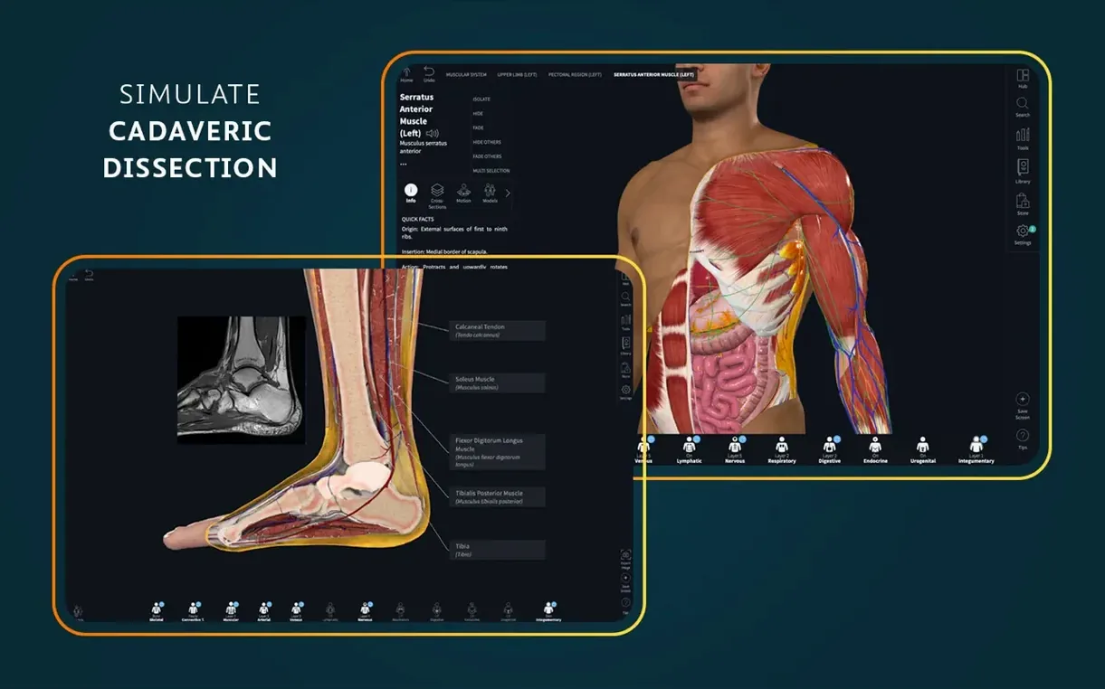 Complete Anatomy — tour 2 Complete Anatomy toolbar view 2