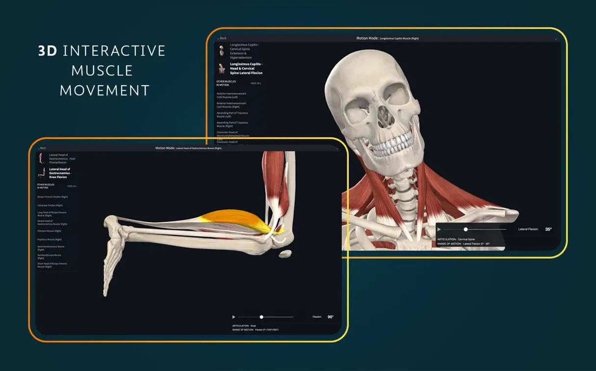Complete Anatomy — tour 3 Complete Anatomy toolbar view 3