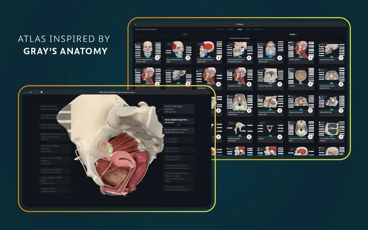 Complete Anatomy image 5 of 8 Screen 5 of Complete Anatomy