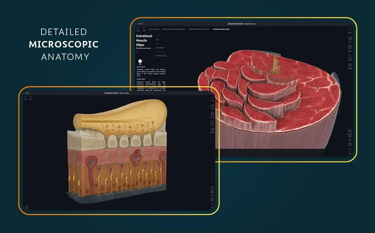 Complete Anatomy image 6 of 8 Screen 6 of Complete Anatomy