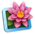Icon: LilyView
