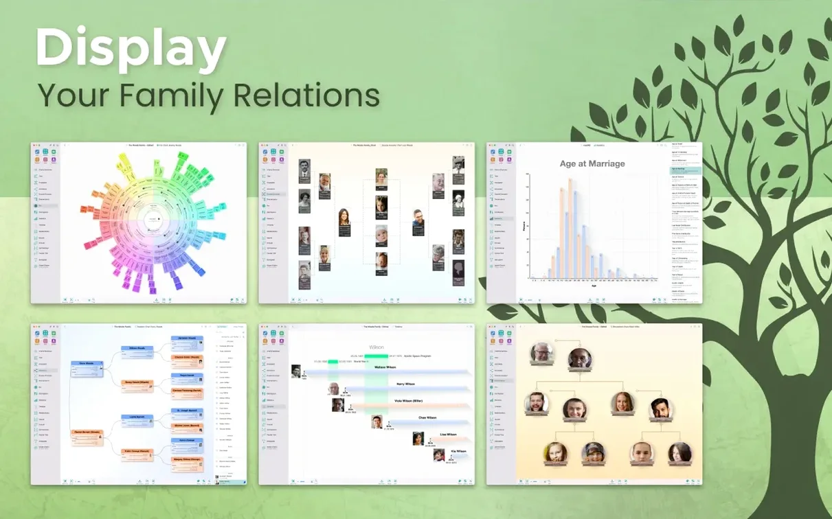 MacFamilyTree — tour 3 MacFamilyTree toolbar view 3