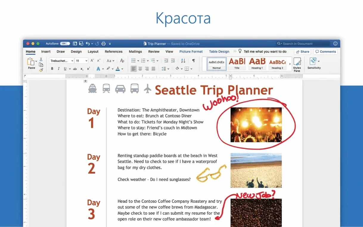 excel torrent download: workspace view