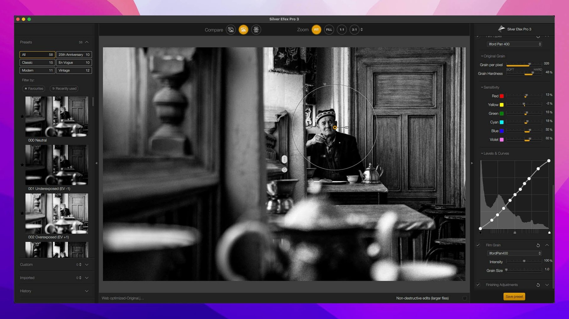 Nik Collection toolbar view 2