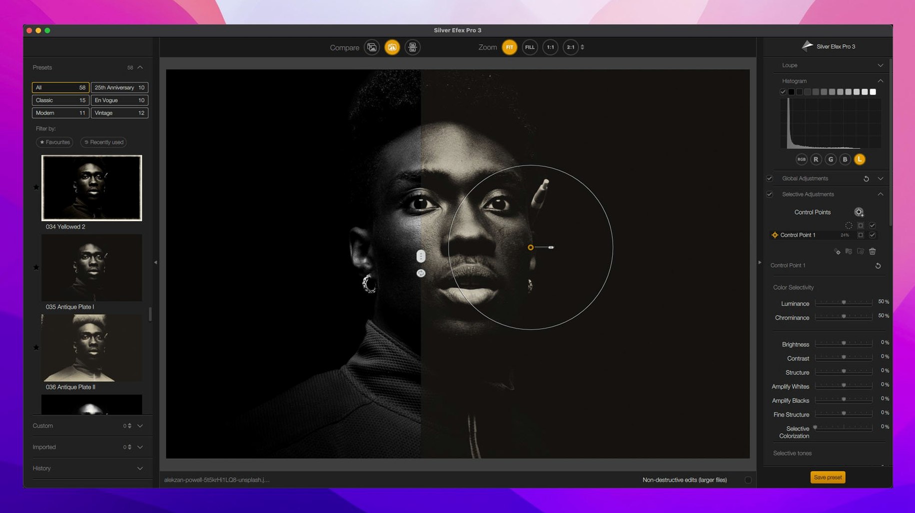 Nik Collection toolbar view 3