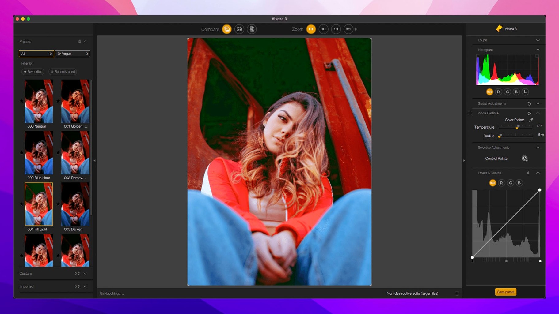 Nik Collection toolbar view 4